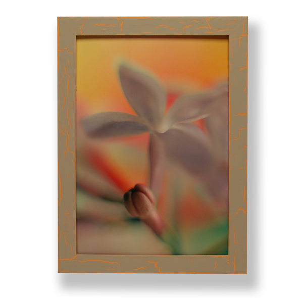 Framed close-up photograph of a lilac flower. Framed with a one of a kind hand painted picture frame.