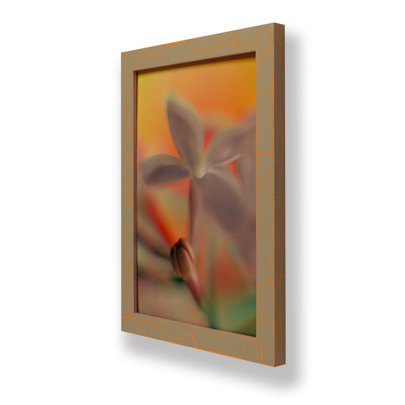 Framed close-up photograph of a lilac flower. Framed with a one of a kind hand painted picture frame.