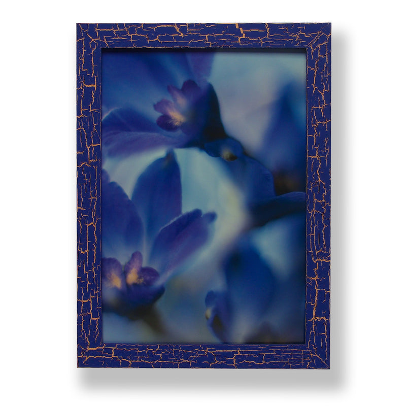 Framed close-up photograph of delphinium volk flowers. Framed with a one of a kind hand painted picture frame.