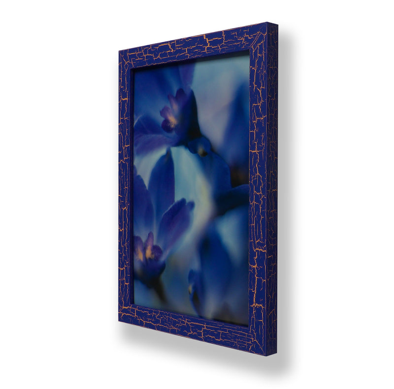 Framed close-up photograph of delphinium volk flowers. Framed with a one of a kind hand painted picture frame.