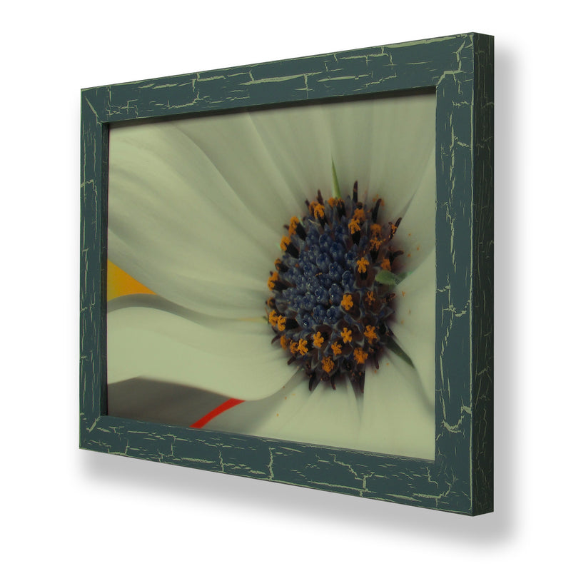 Framed close-up photograph of a daisy flower. Framed with a one of a kind hand painted picture frame.