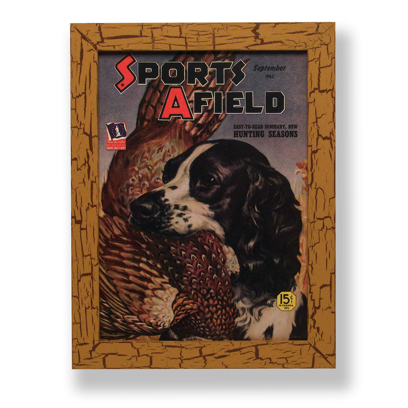 Framed original 1942 Sports Afield magazine cover with a hunting dog and a bird. Framed with a one of a kind hand painted picture frame.