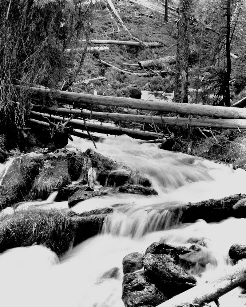 Art Print - A black & white photograph of mountain stream.