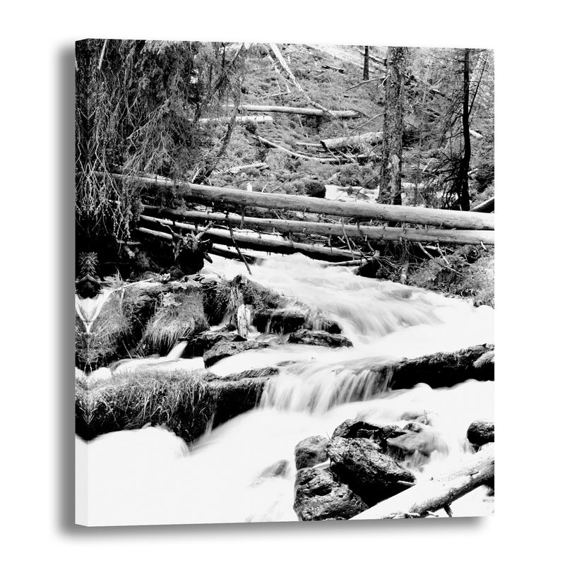 Canvas Art Print - A black & white photograph of mountain stream.