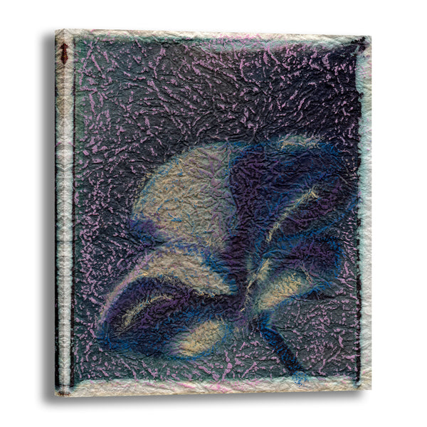 Canvas Art Print - A close-up photograph of a hand colored Polaroid transfer of a plumeria flower.