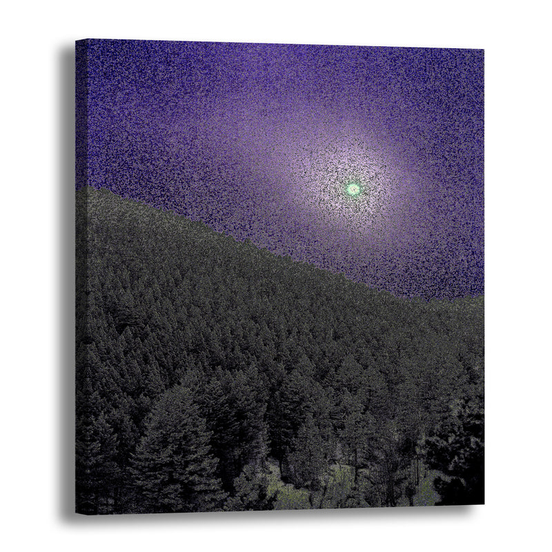 Canvas Art Print - An abstract photograph of the winter sun above a forest.