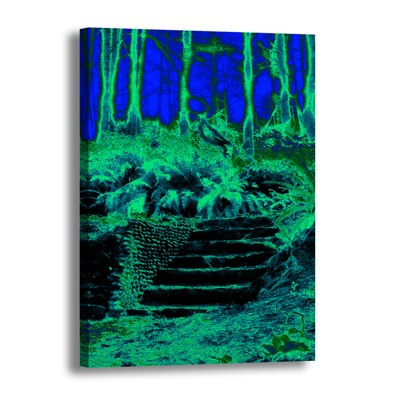 Canvas Art Prints - An abstract photograph of stone steps in a forest.