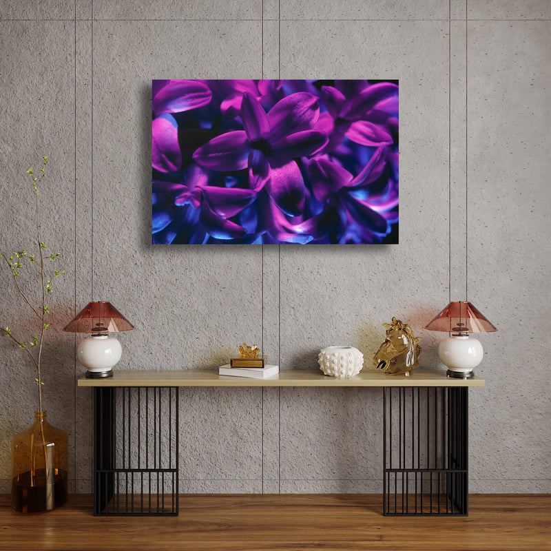 Art Print - A close-up photograph of a blue jacket hyacinth flower.