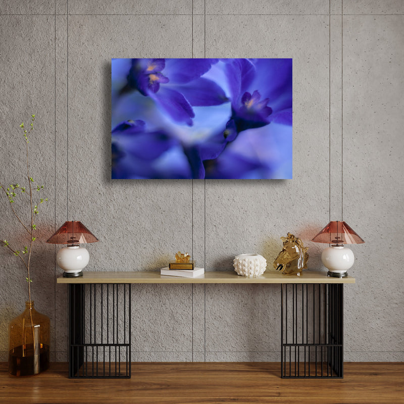 Metal Art Print - A close-up photograph of delphinium volk flowers.