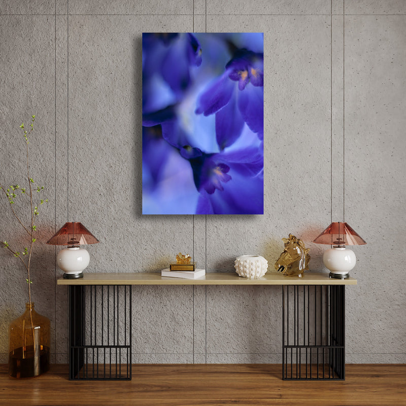 Art Print - A closeup photograph of delphinium volk flowers.