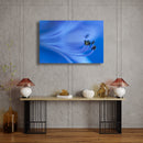 Canvas Art Print - A close-up photograph of an African lily flower.