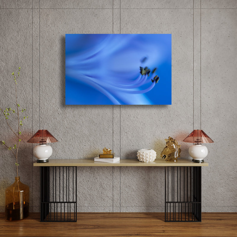 Canvas Art Print - A close-up photograph of an African lily flower.