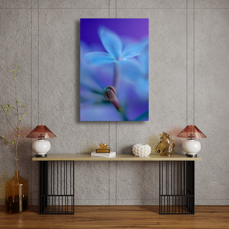 Metal Art Print - A close-up photograph of a lilac flower.