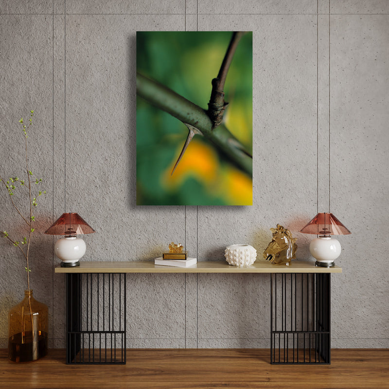 Metal Art Print - A close-up photograph of a wild rose thorn.