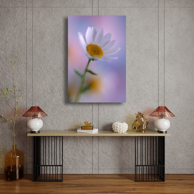 Art Print - A close-up photograph of a daisy flower.