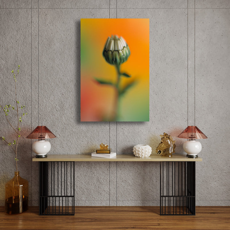 Metal Art Print - A close-up photograph of a daisy flower.