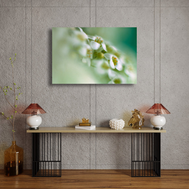 Metal Art Print - A close-up photograph of alyssum flowers.