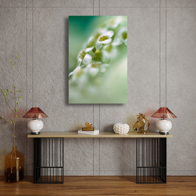 Metal Art Print - A close-up photograph of alyssum flowers.