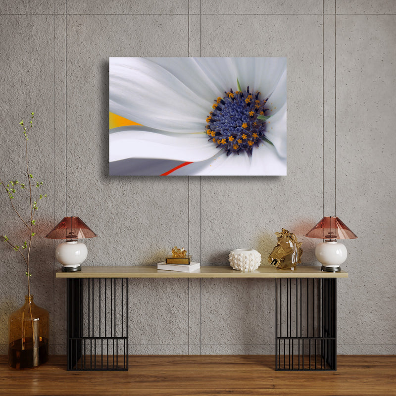 Art Print - A closeup photograph of a daisy flower.