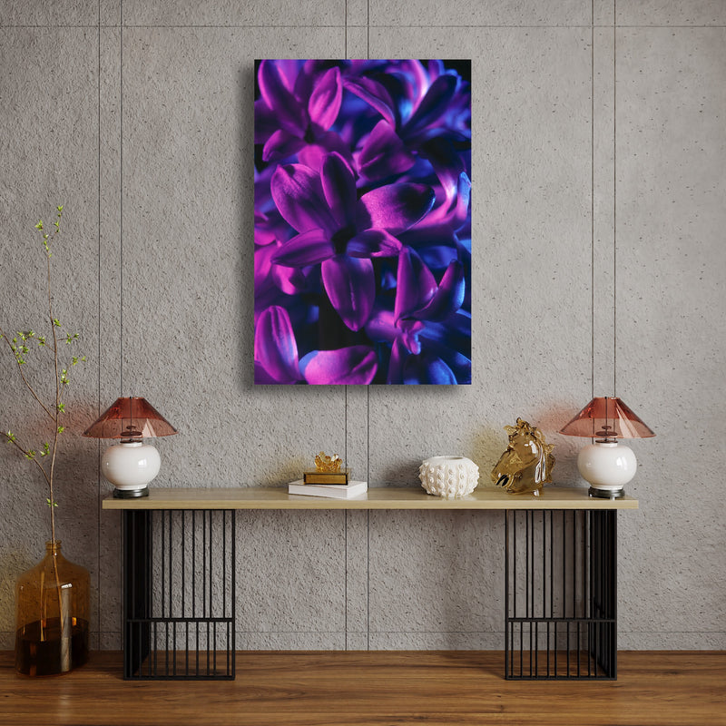 Art Print - A close-up photograph of a blue jacket hyacinth flower.