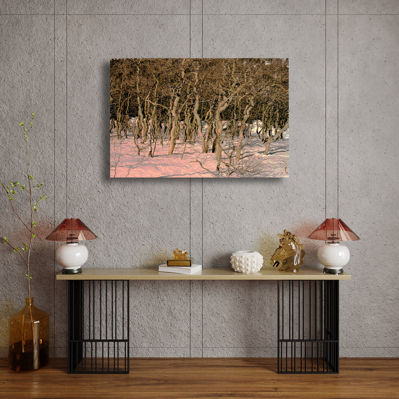 Metal Art Print - An abstract photograph of aspen trees & snow.