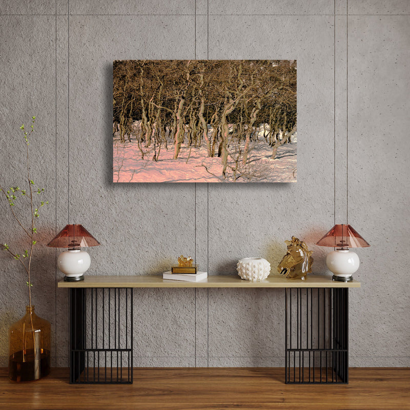 Canvas Art Print - An abstract photograph of aspen trees & snow.