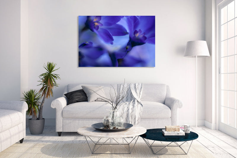 Metal Art Print - A close-up photograph of delphinium volk flowers.