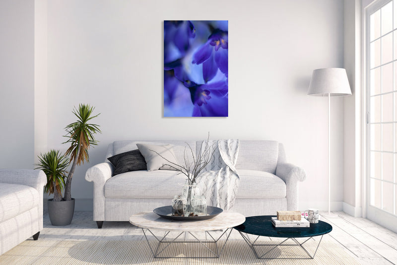 Art Print - A closeup photograph of delphinium volk flowers.