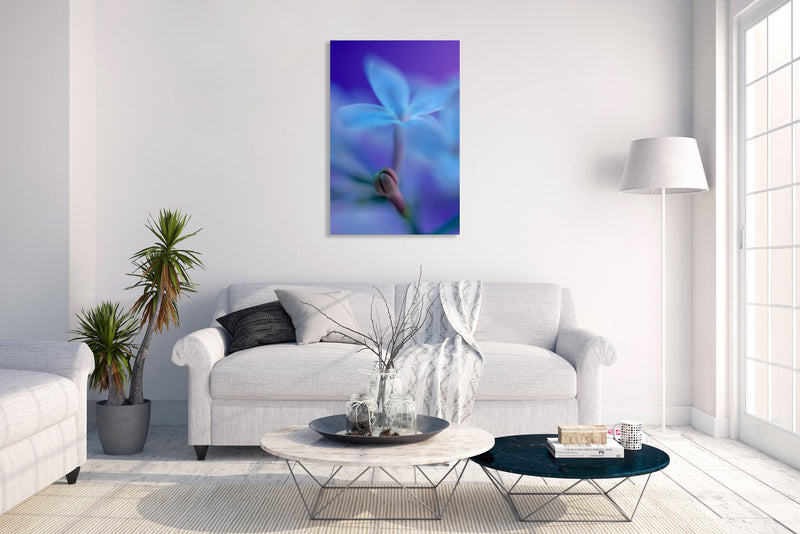 Metal Art Print - A close-up photograph of a lilac flower.