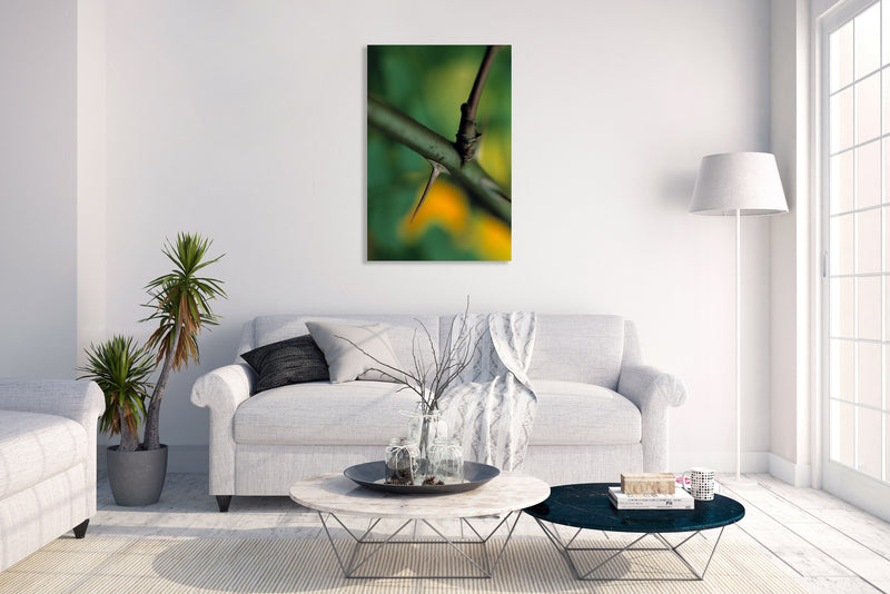 Metal Art Print - A close-up photograph of a wild rose thorn.