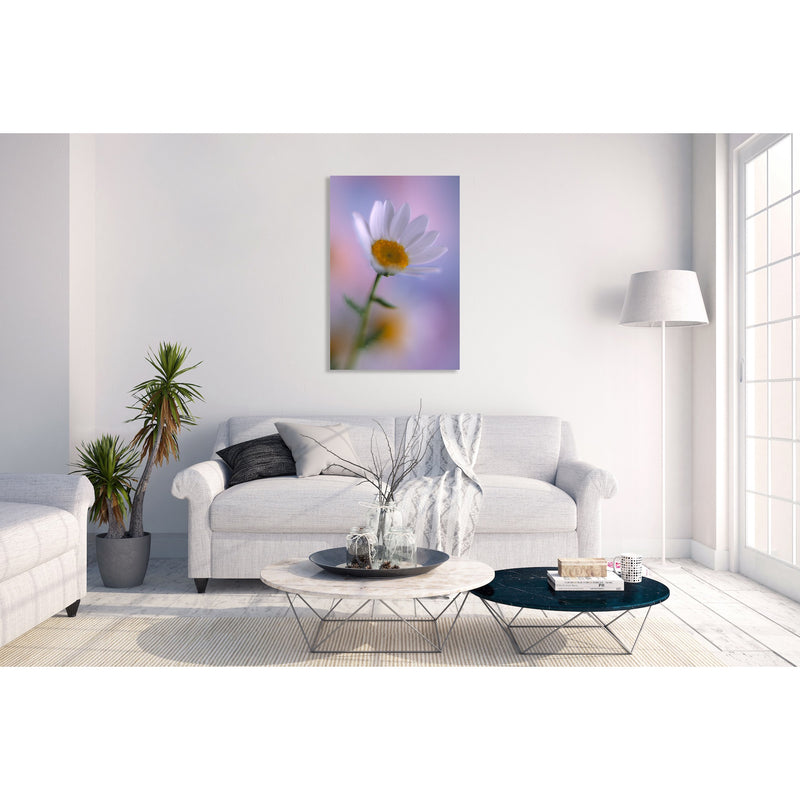 Canvas Art Print - A close-up photograph of a daisy flower.