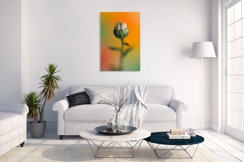 Metal Art Print - A close-up photograph of a daisy flower.