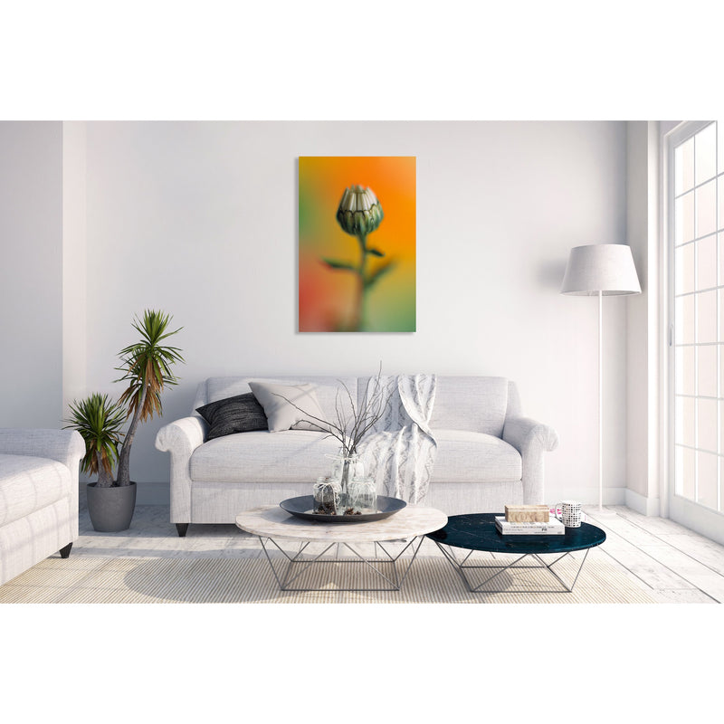 Canvas Art Print - A close-up photograph of a daisy flower.