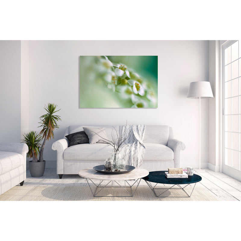 Canvas Art Print - A close-up photograph of alyssum flowers.