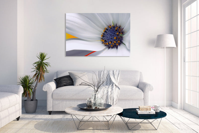 Metal Art Print - A close-up photograph of a daisy flower.