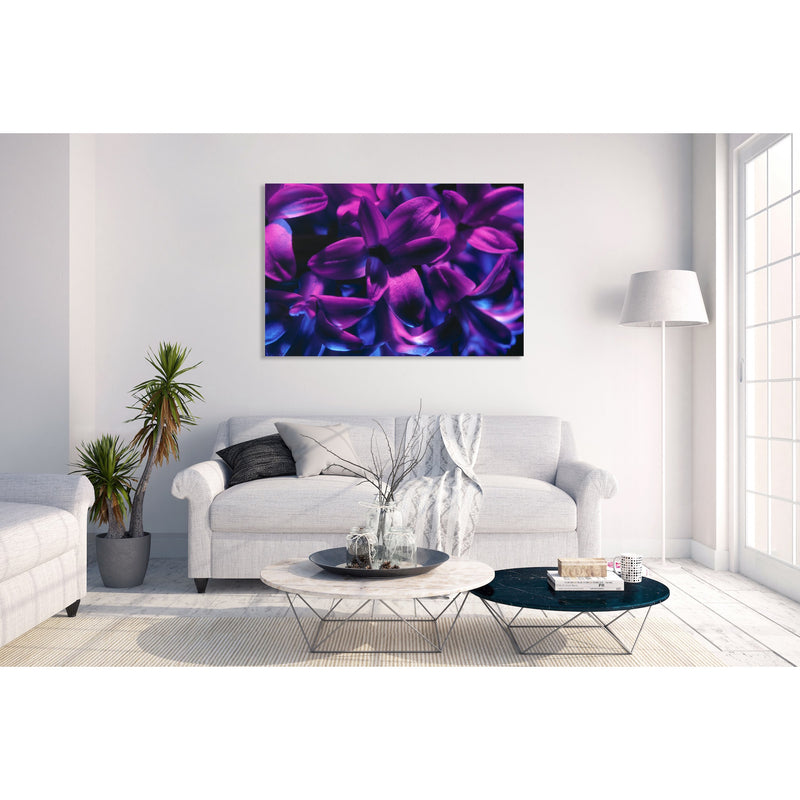 Canvas Art Print - A close-up photograph of a blue jacket hyacinth flower.