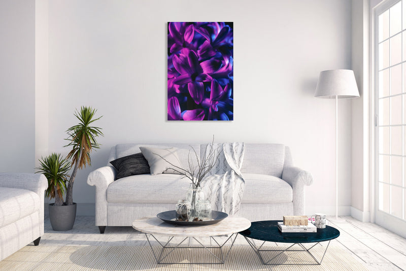 Metal Art Print - A close-up photograph of a blue jacket hyacinth flower.