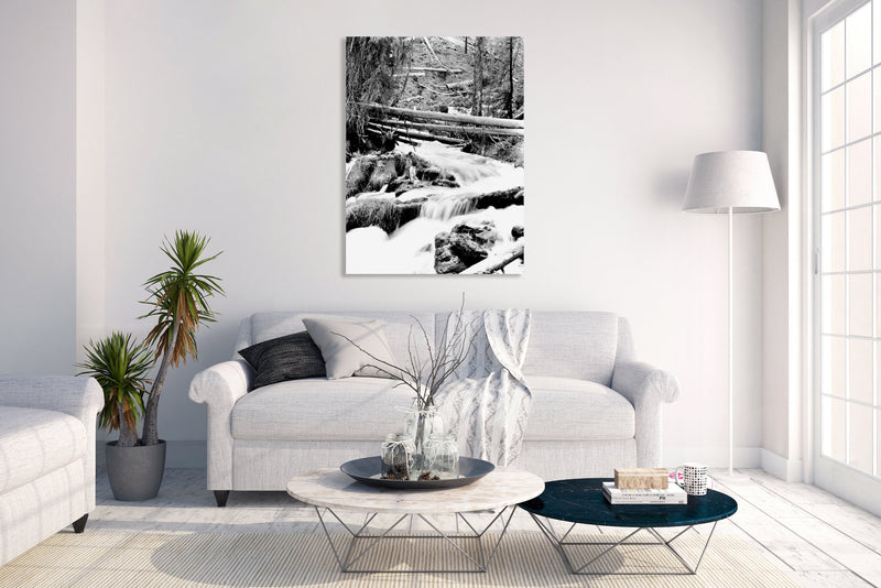 Metal Art Print - A black & white photograph of mountain stream.