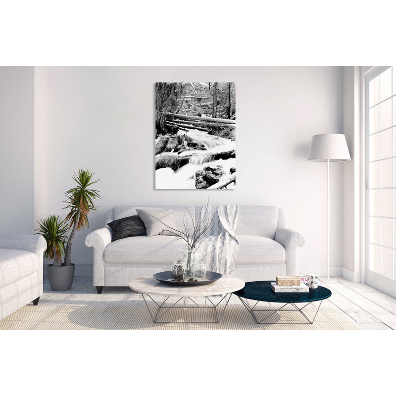 Canvas Art Print - A black & white photograph of mountain stream.