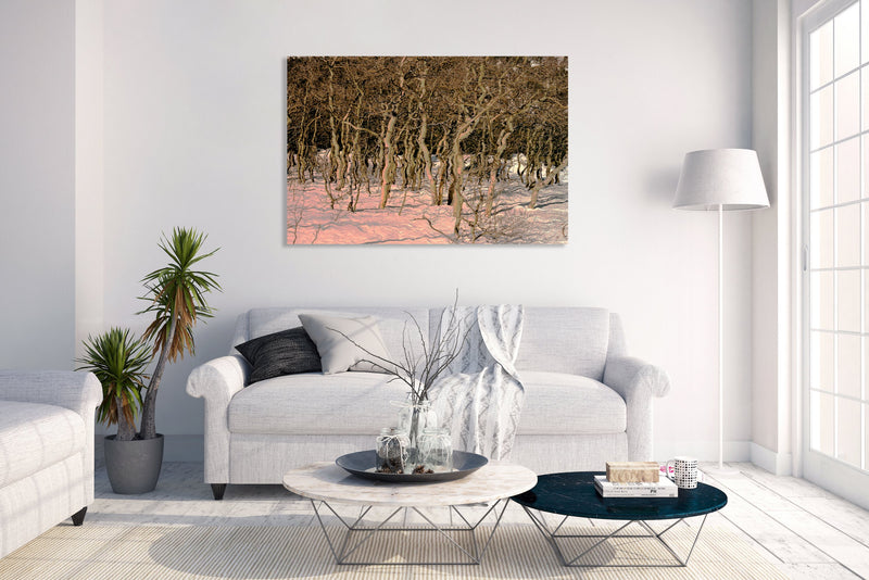 Metal Art Print - An abstract photograph of aspen trees & snow.