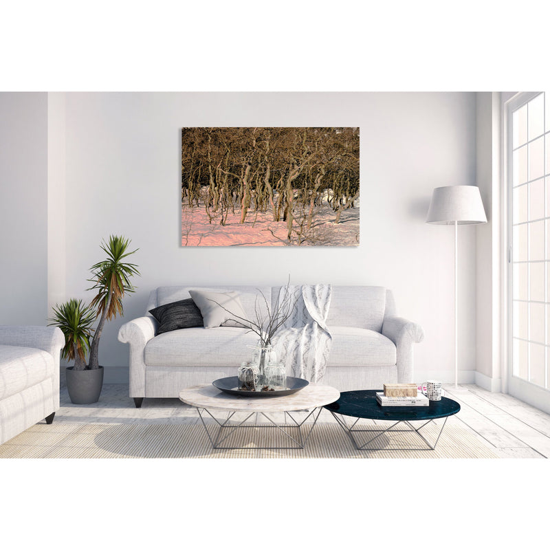 Canvas Art Print - An abstract photograph of aspen trees & snow.