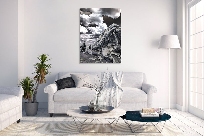 Metal Art Print - An abstract black & white photograph of a rock formation.