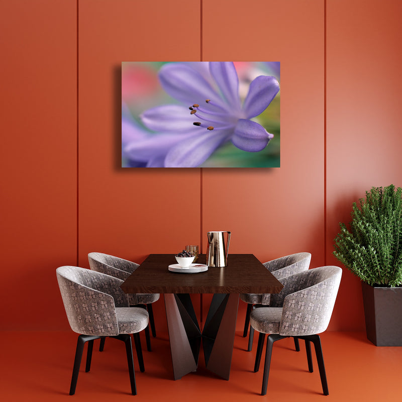 Metal Art Print - A close-up photograph of an African lily flower.