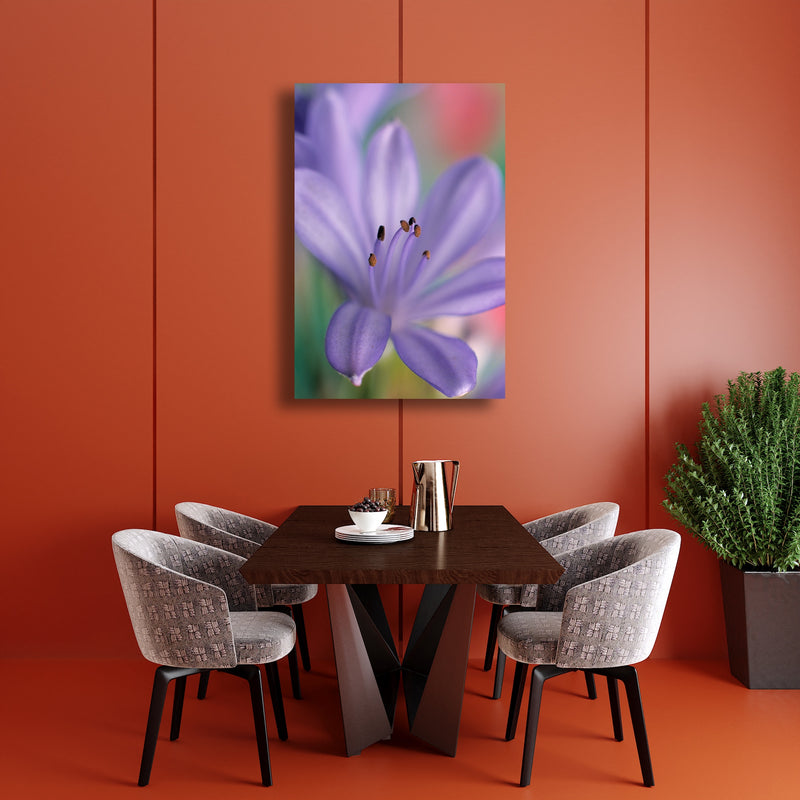 Art Print - A closeup photograph of an African lily flower.