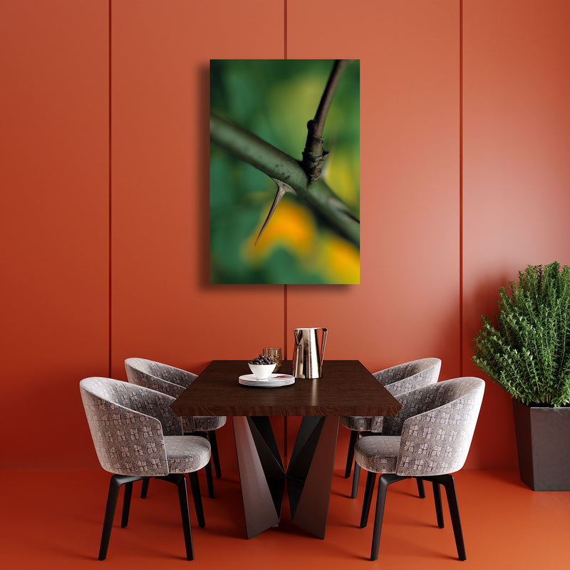 Metal Art Print - A close-up photograph of a wild rose thorn.