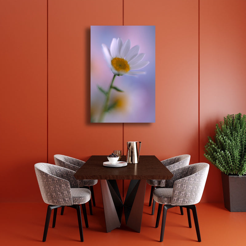 Metal Art Print - A close-up photograph of a daisy flower.