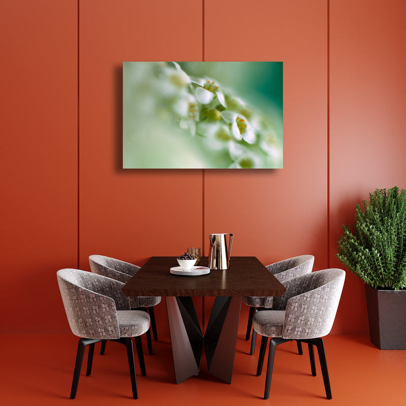 Metal Art Print - A close-up photograph of alyssum flowers.